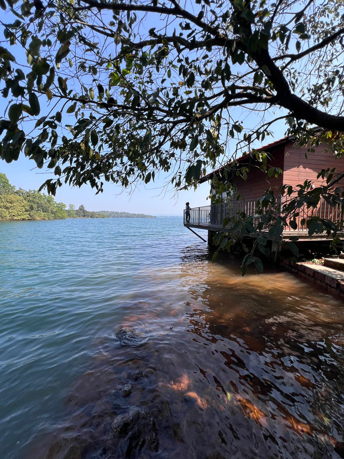 Last Premium Cottage